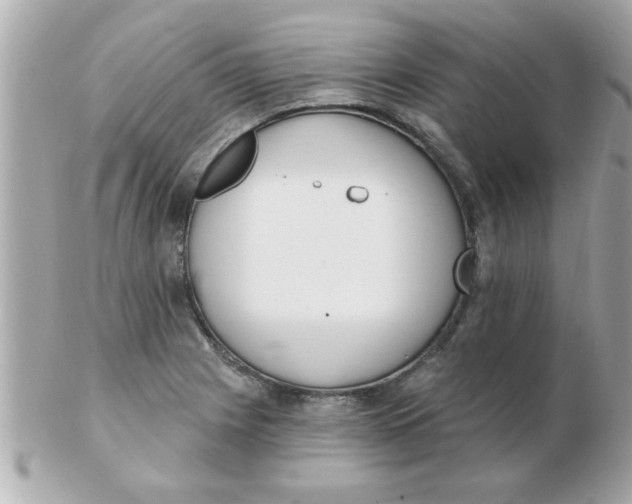 X0000102531225200808291813