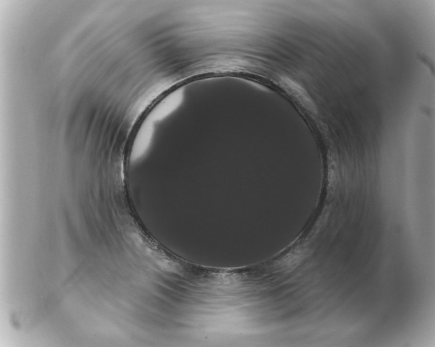 X0000102531226200808291813