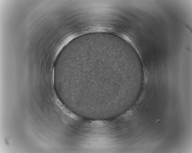 X0000102531227200808291813