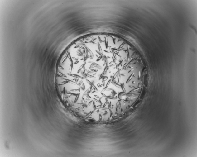 X0000102531228200808291813