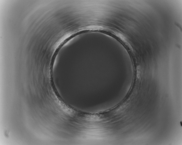 X0000102531229200808291813