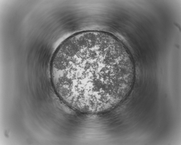 X0000102531230200808291813