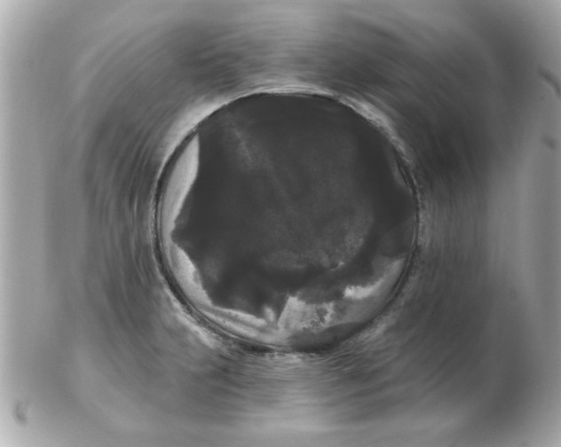 X0000102531231200808291813