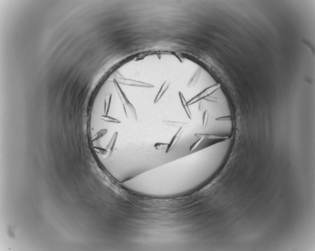 X0000102531232200808291813