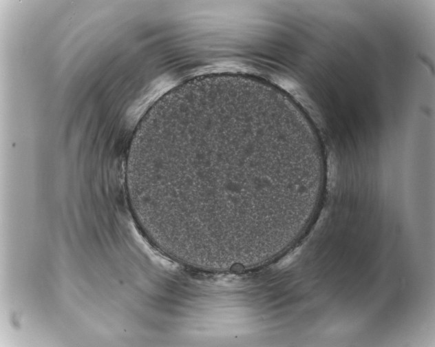 X0000102531233200808291813