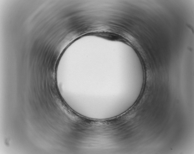 X0000102531234200808291813