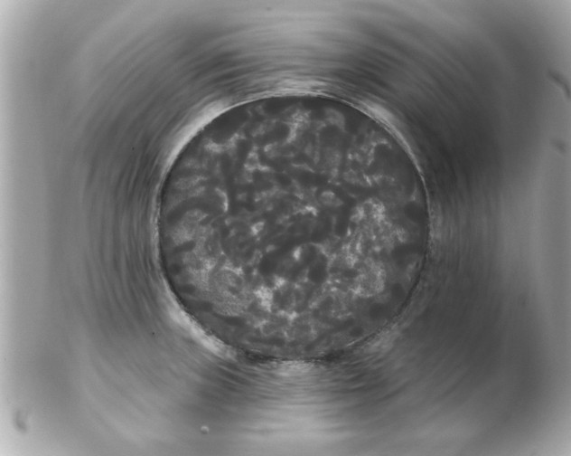 X0000102531235200808291813