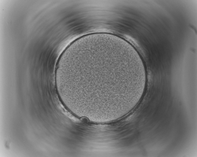 X0000102531236200808291813