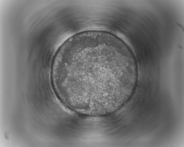 X0000102531237200808291813