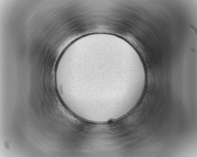 X0000102531238200808291813