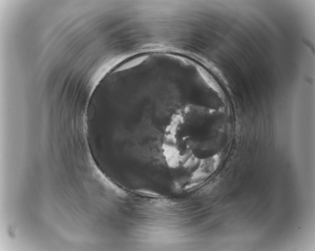 X0000102531239200808291813