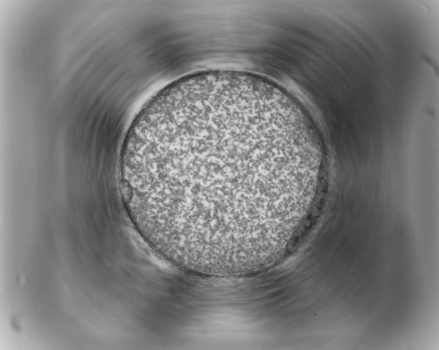 X0000102531240200808291813