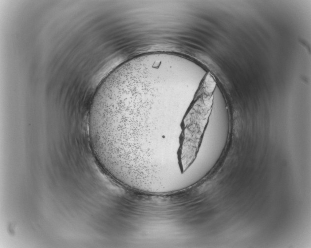 X0000102531241200808291813