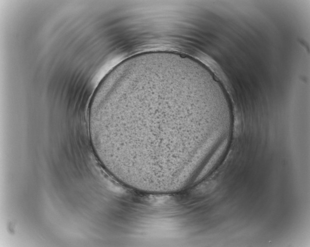 X0000102531242200808291813