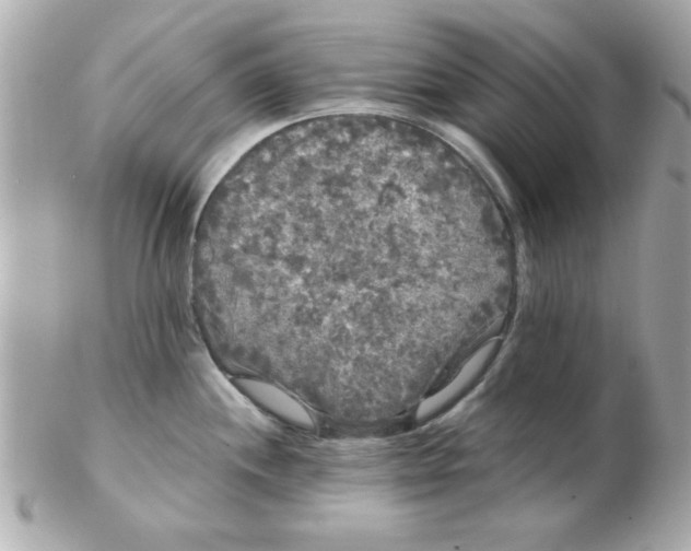 X0000102531244200808291813