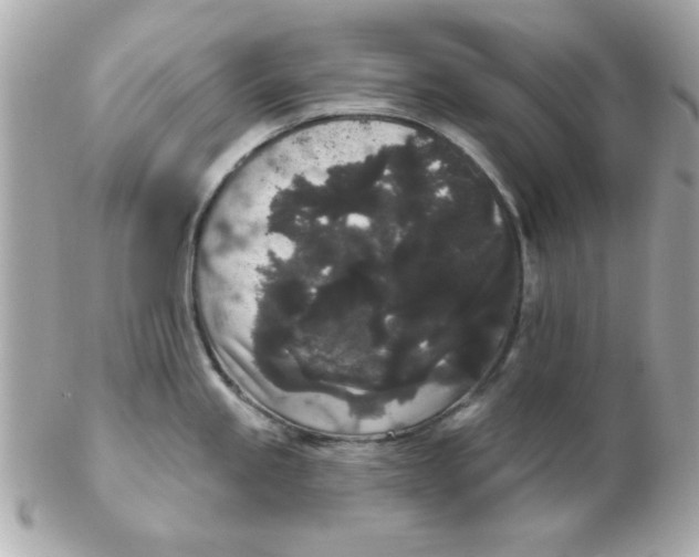 X0000102531245200808291813