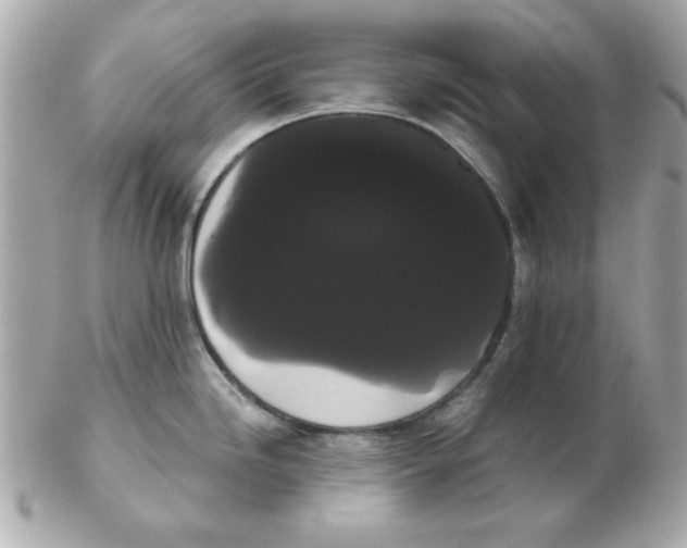 X0000102531246200808291813