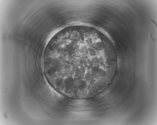 X0000102531247200808291813