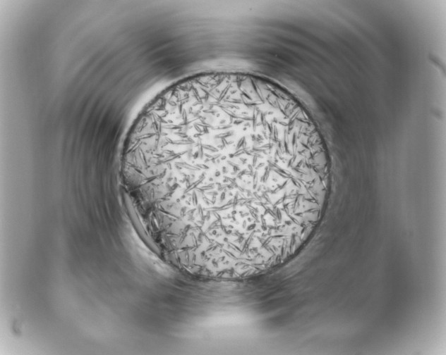 X0000102531248200808291813