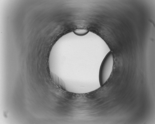 X0000102531249200808291812