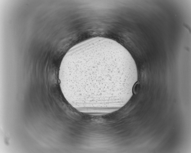 X0000102531250200808291812