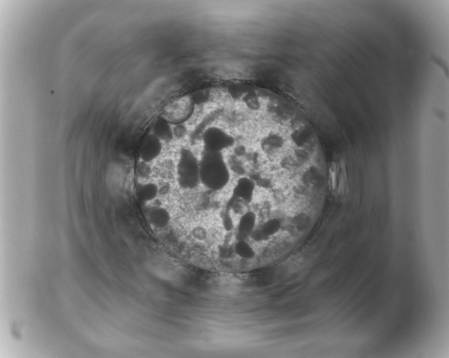 X0000102531251200808291812