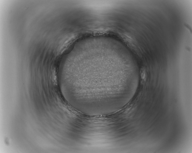 X0000102531252200808291812