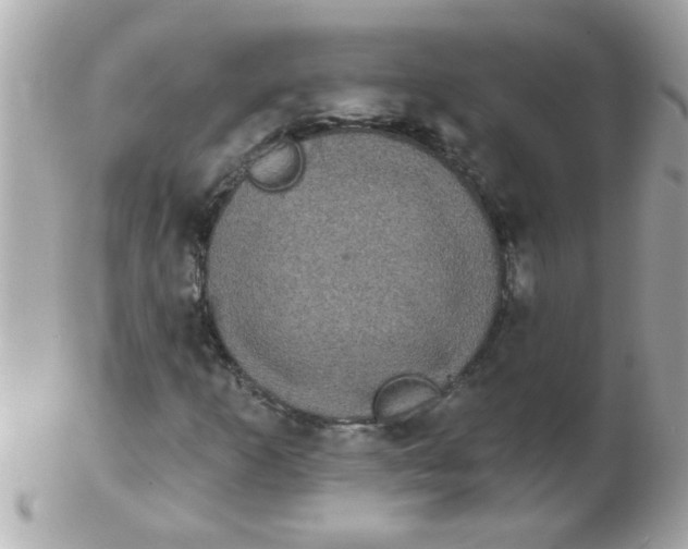 X0000102531253200808291812