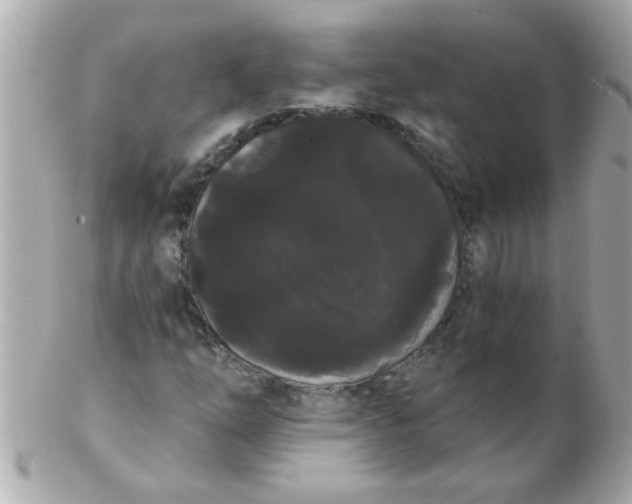 X0000102531254200808291812