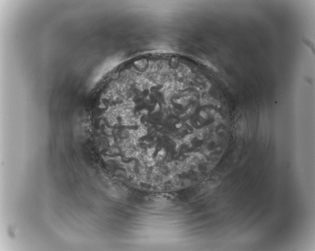 X0000102531255200808291812