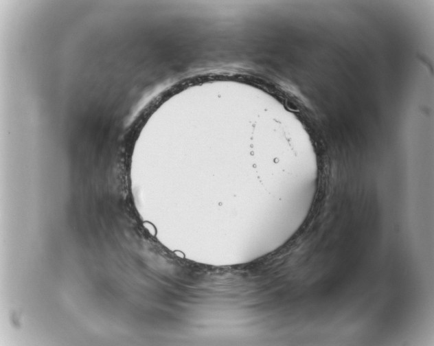 X0000102531256200808291812