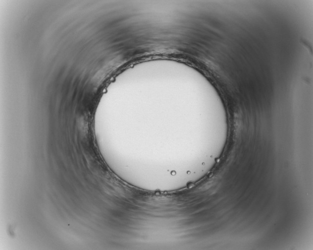 X0000102531257200808291812