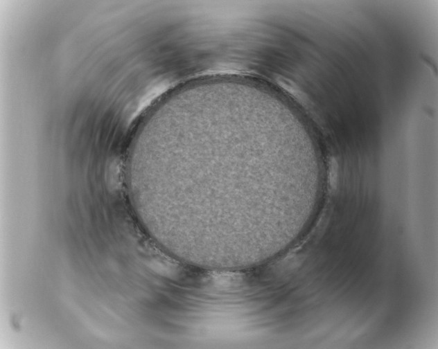 X0000102531258200808291812