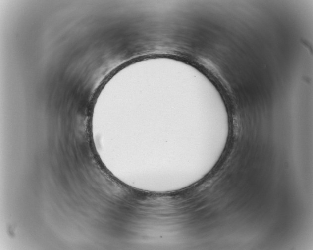 X0000102531260200808291812