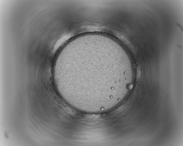 X0000102531261200808291812