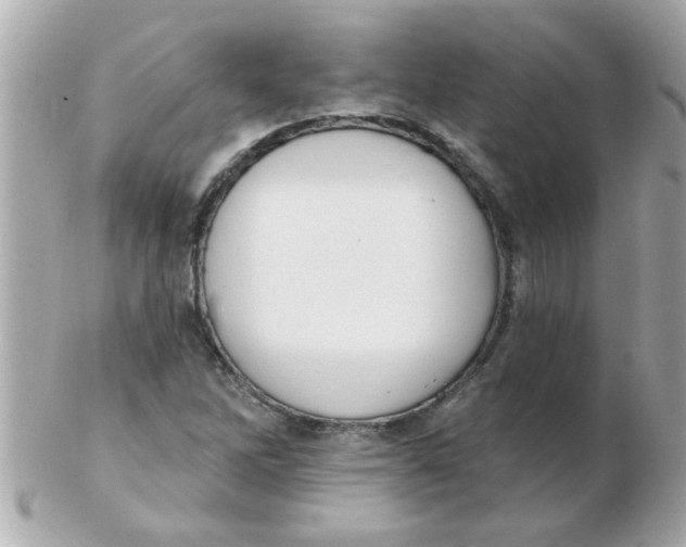 X0000102531262200808291812