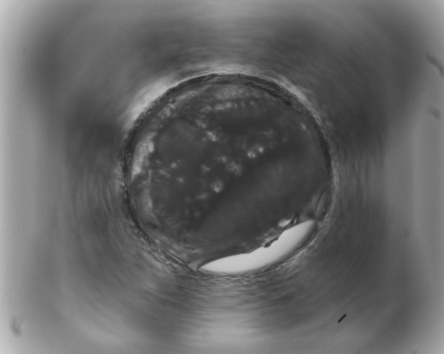 X0000102531263200808291812