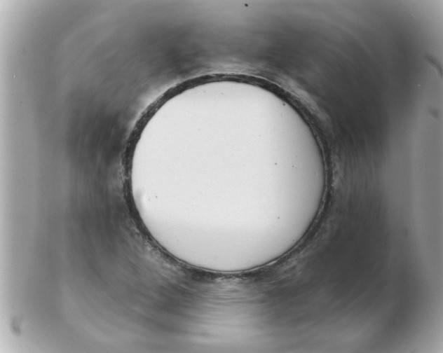 X0000102531264200808291812