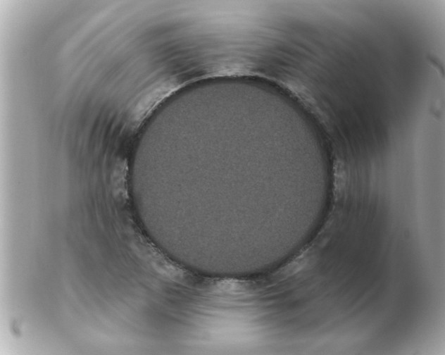 X0000102531265200808291812