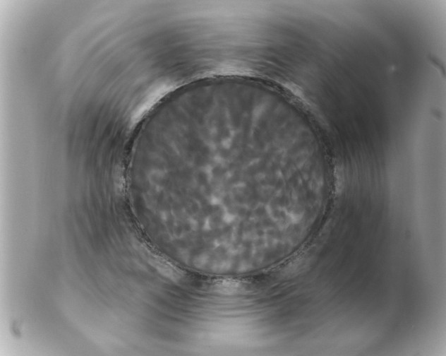 X0000102531266200808291812