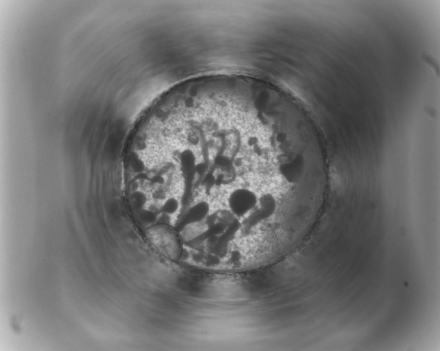 X0000102531267200808291812