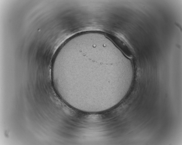 X0000102531268200808291812