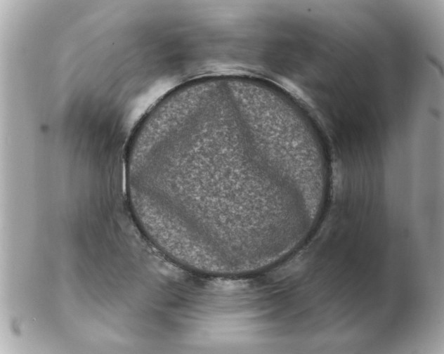 X0000102531269200808291812