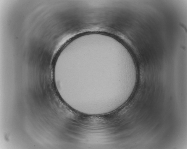 X0000102531270200808291812