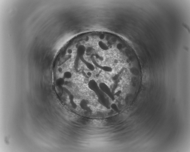 X0000102531271200808291812