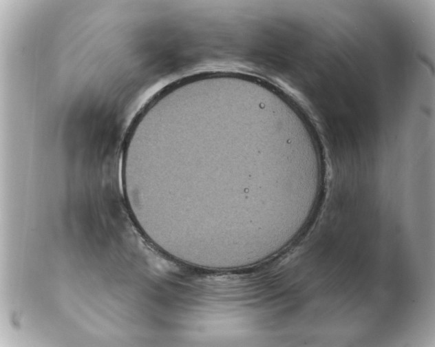 X0000102531272200808291812