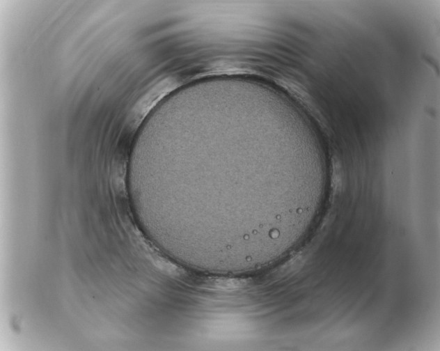 X0000102531273200808291812