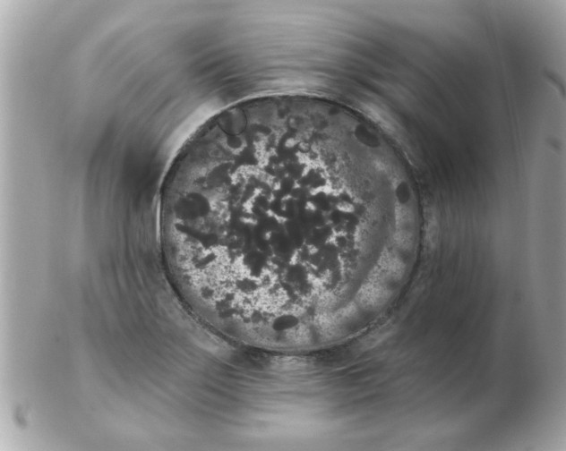 X0000102531275200808291812