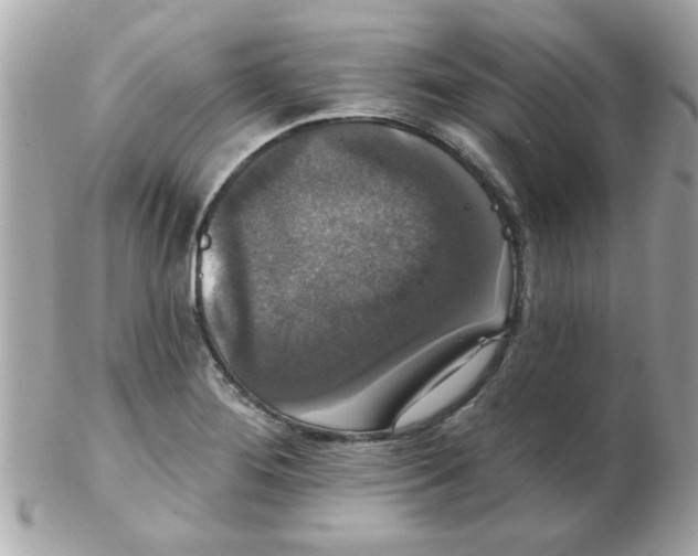 X0000102531276200808291812