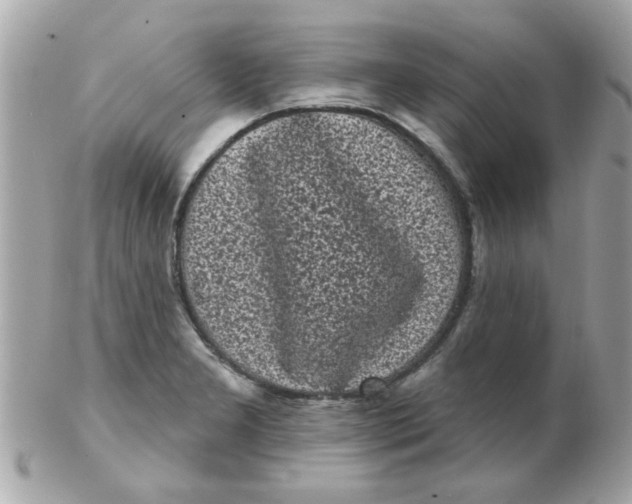 X0000102531277200808291812